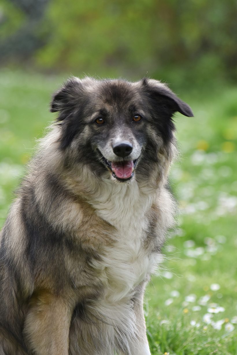 Aro – Zehn Jahre Treue suchen ein neues Wunder Aro – Zehn Jahre Treue suchen ein neues Wunder